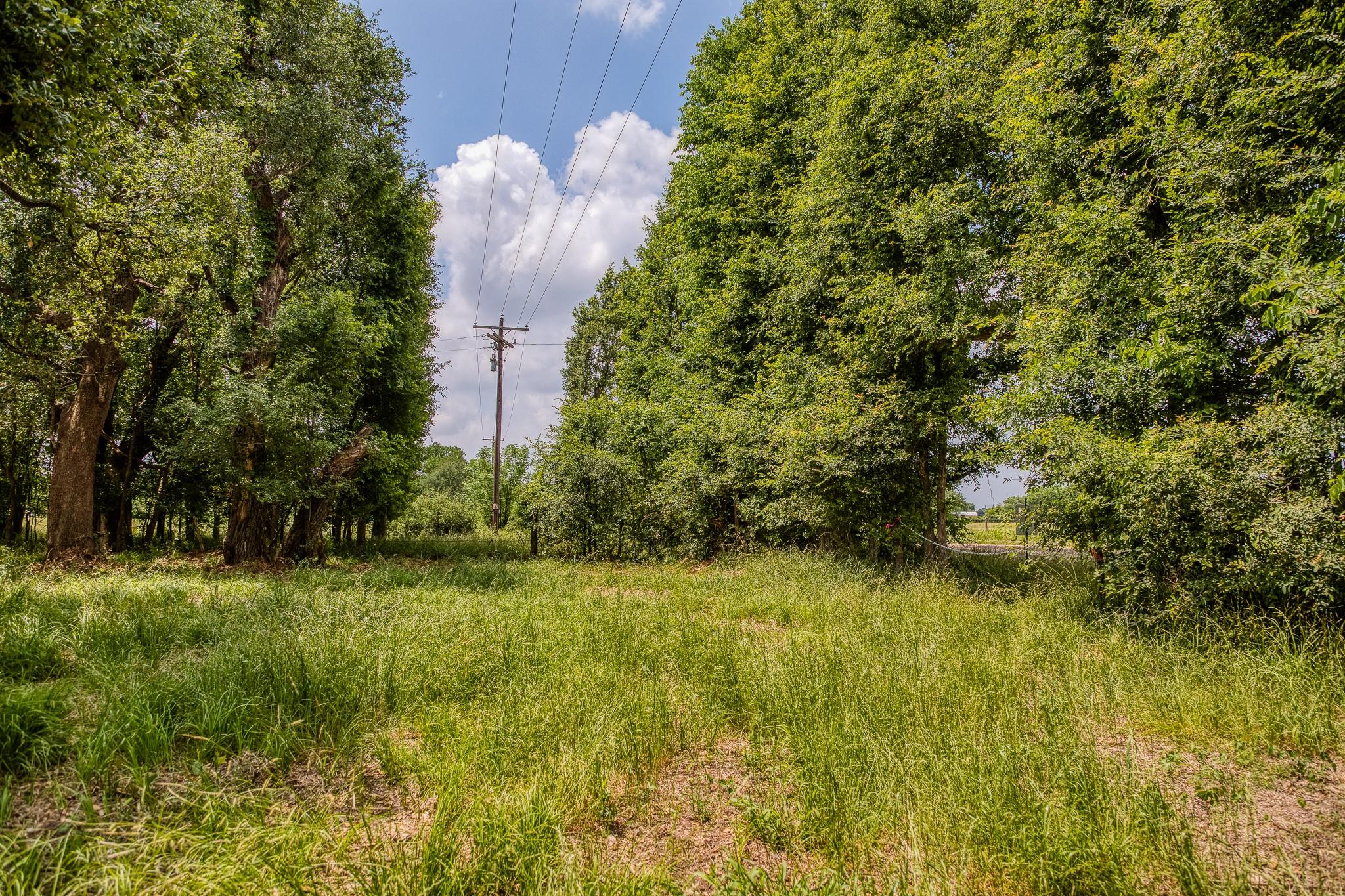 10314 County Road 276 Land, Somerville, TX 77878