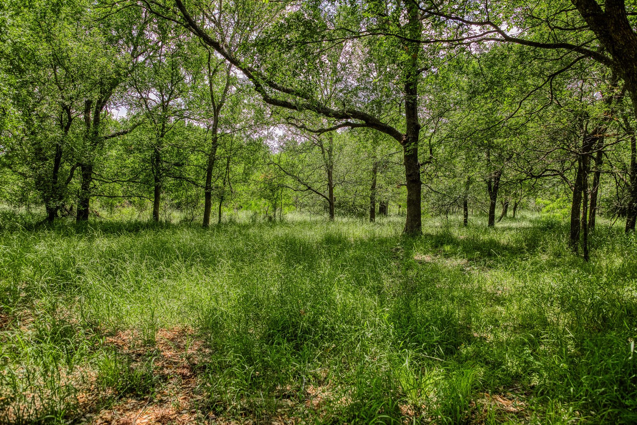 10314 County Road 276 Land, Somerville, TX 77878