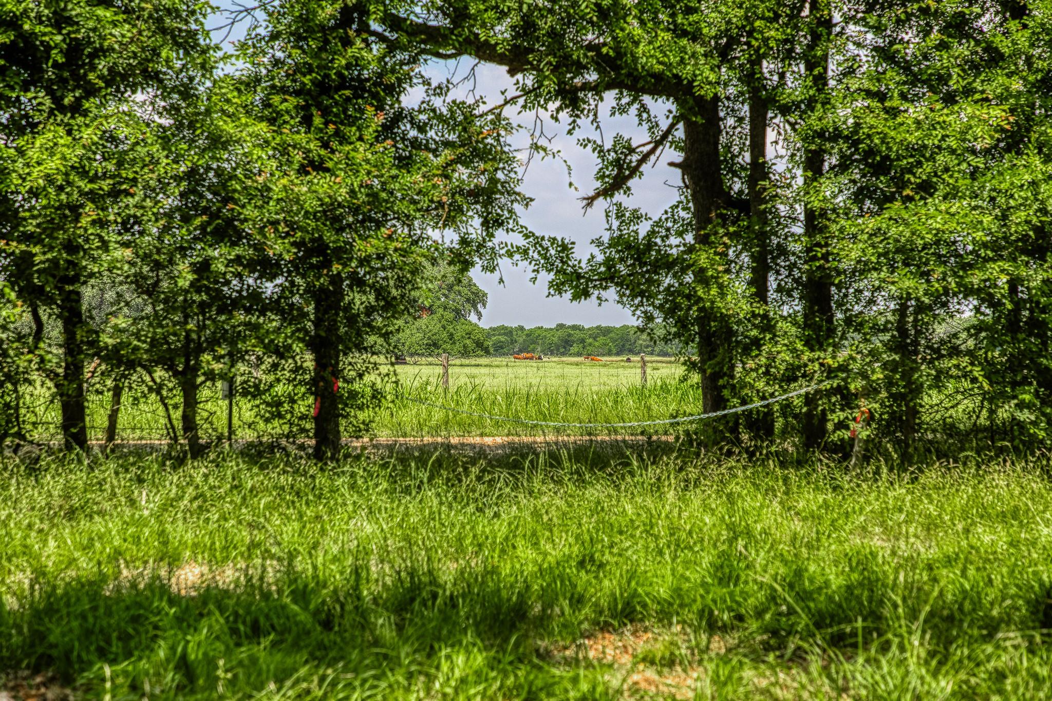 10314 County Road 276 Land, Somerville, TX 77878