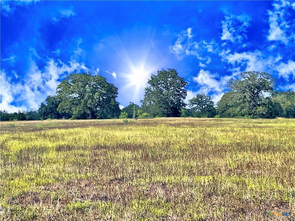 5350 Soda Springs Rd, Luling, TX 78648