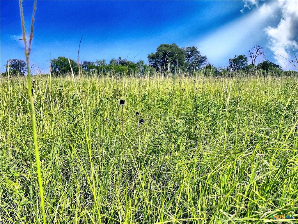 5350 Soda Springs Rd, Luling, TX 78648