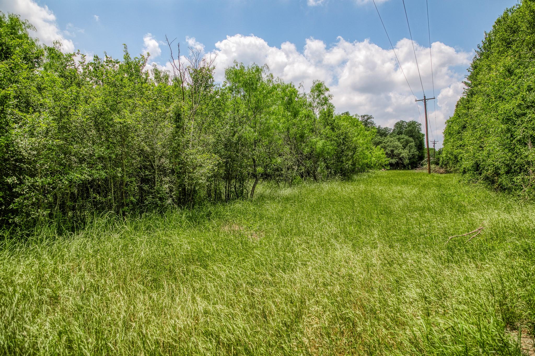 10366 County Road 276 Land, Somerville, TX 77879