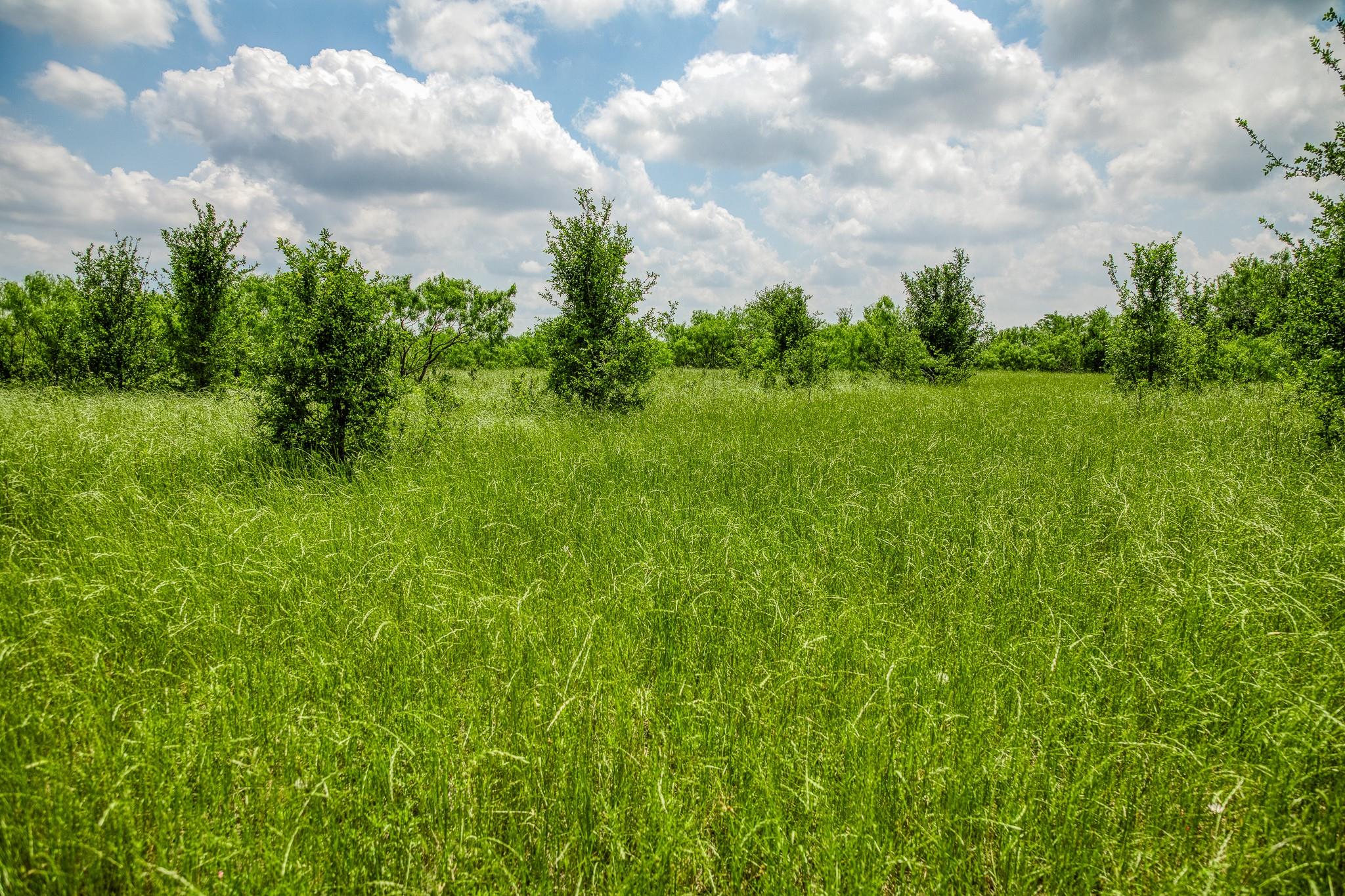 10440 County Road 276 Land, Somerville, TX 77879