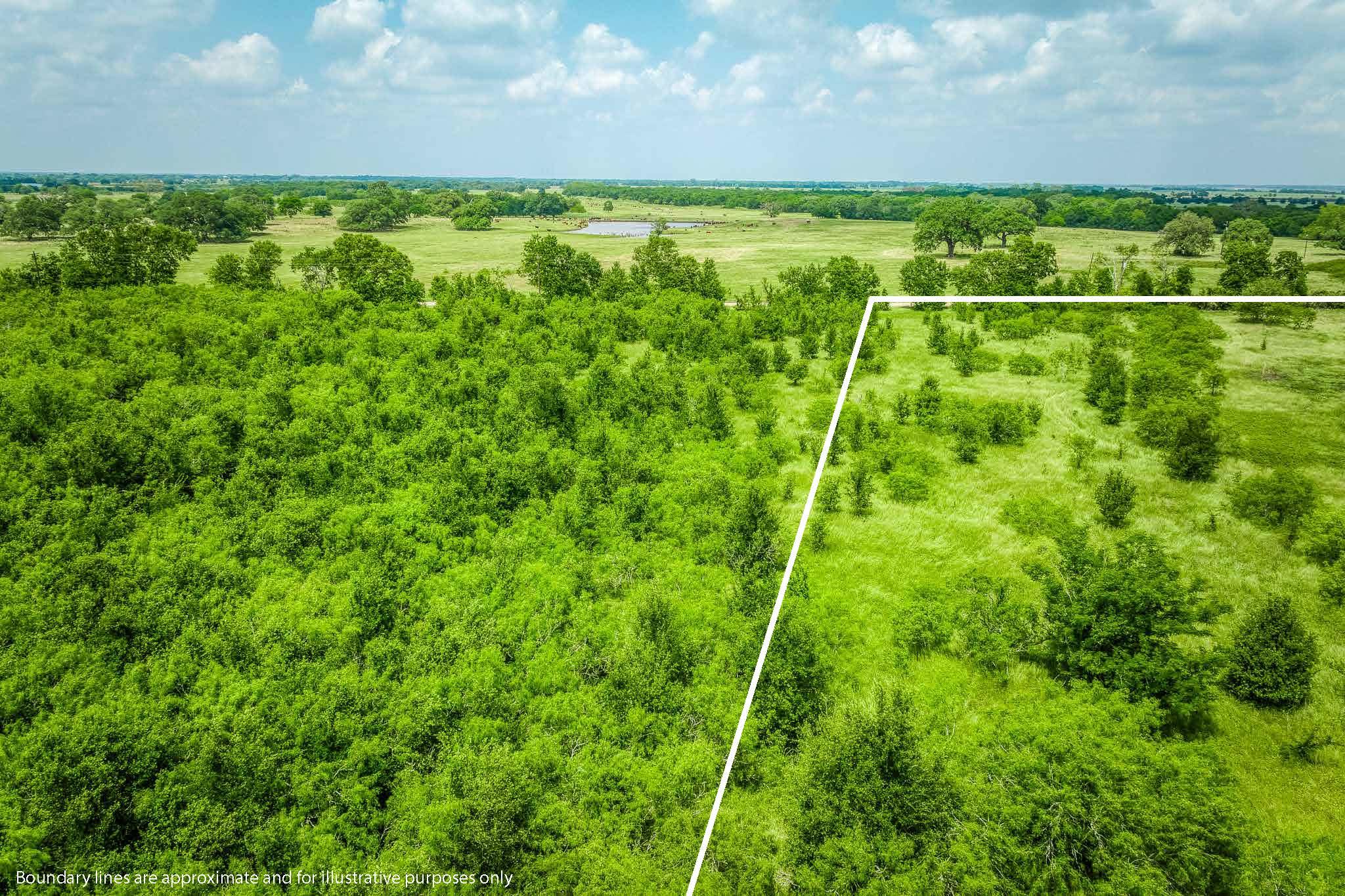 10440 County Road 276 Land, Somerville, TX 77879
