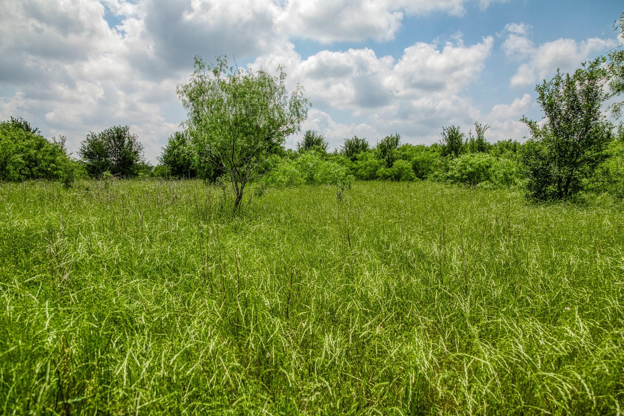 10440 County Road 276 Land, Somerville, TX 77879