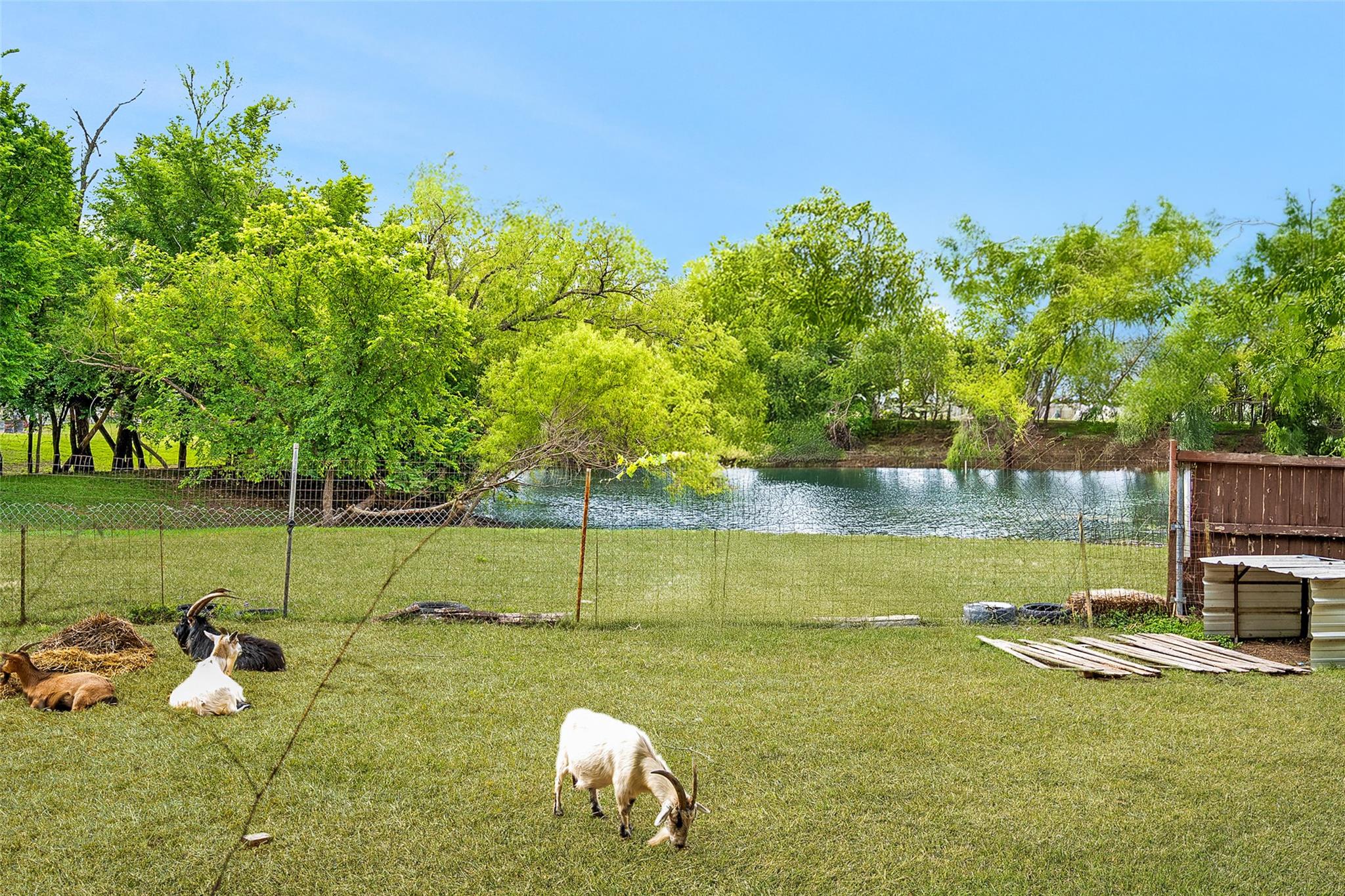 1124 Dyer Creek Pl, Round Rock, TX 78665