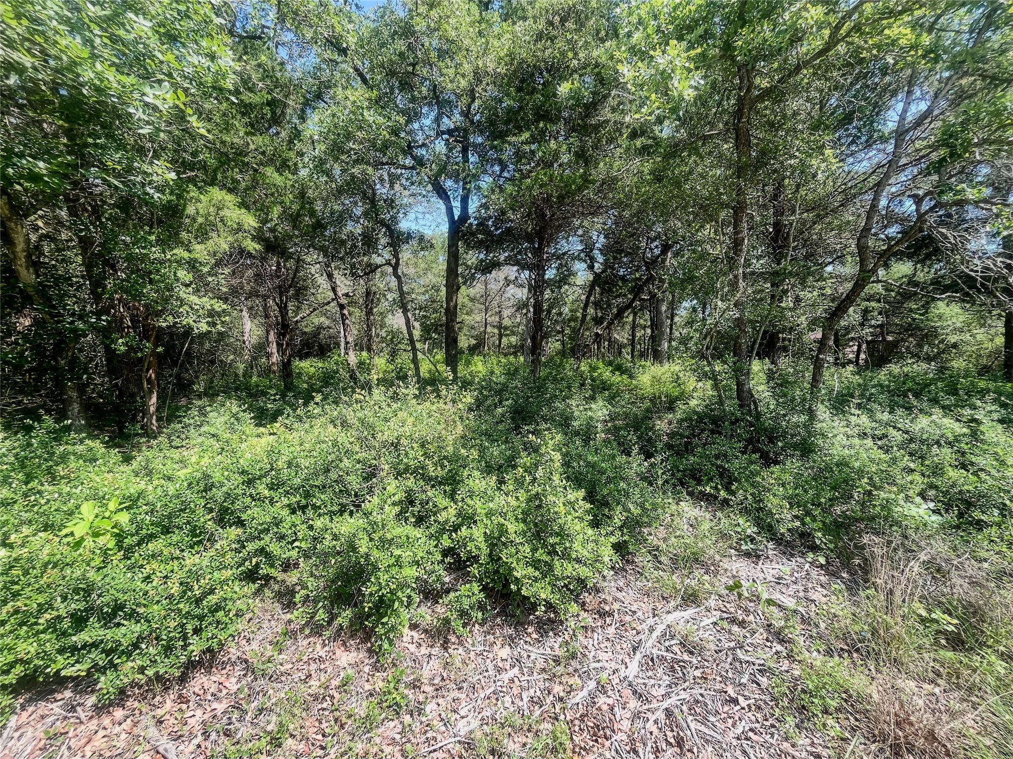 TBD Phillips Street Phillips St W, Lexington, TX 78947