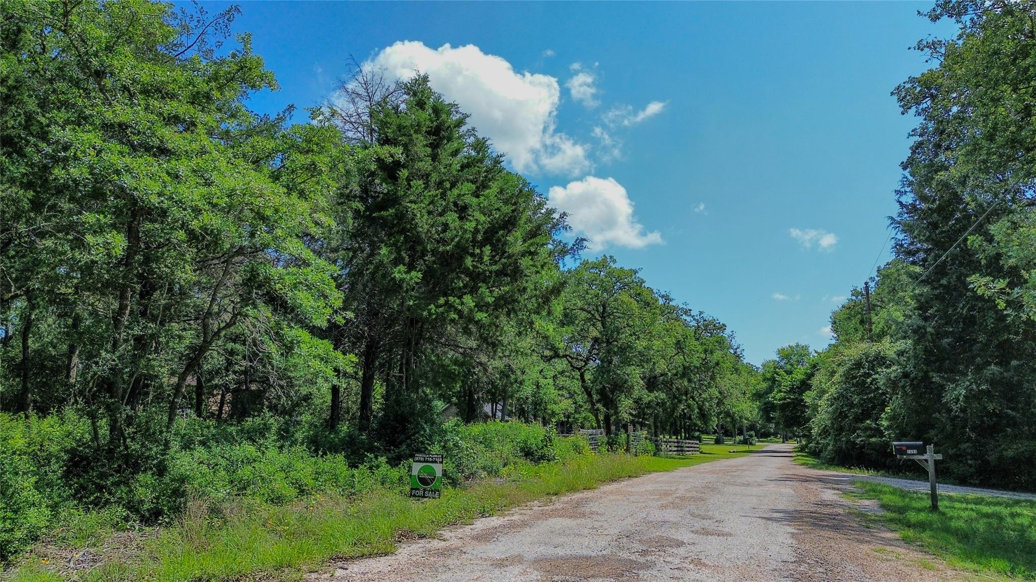 TBD Phillips Street Phillips St W, Lexington, TX 78947