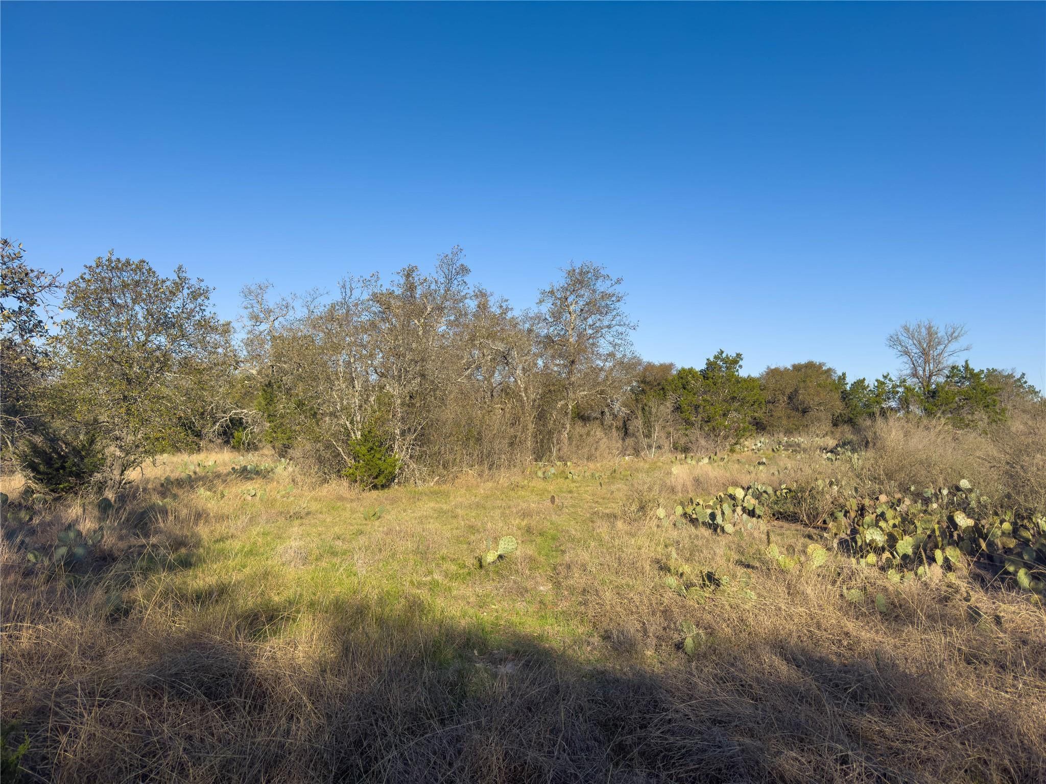 Lot 196-A MARBLE FALLS Ct, Spicewood, TX 78669