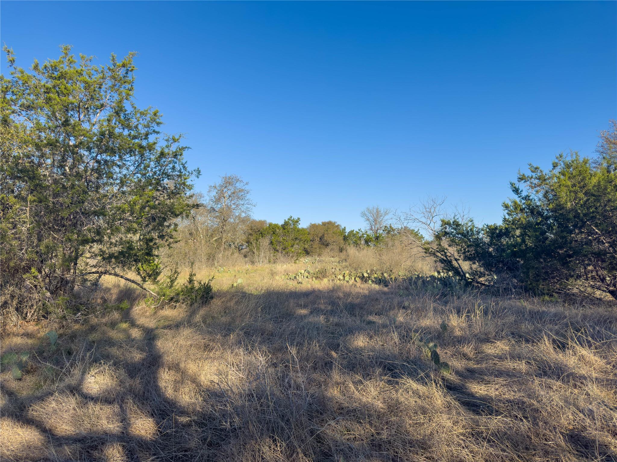 Lot 196-A MARBLE FALLS Ct, Spicewood, TX 78669
