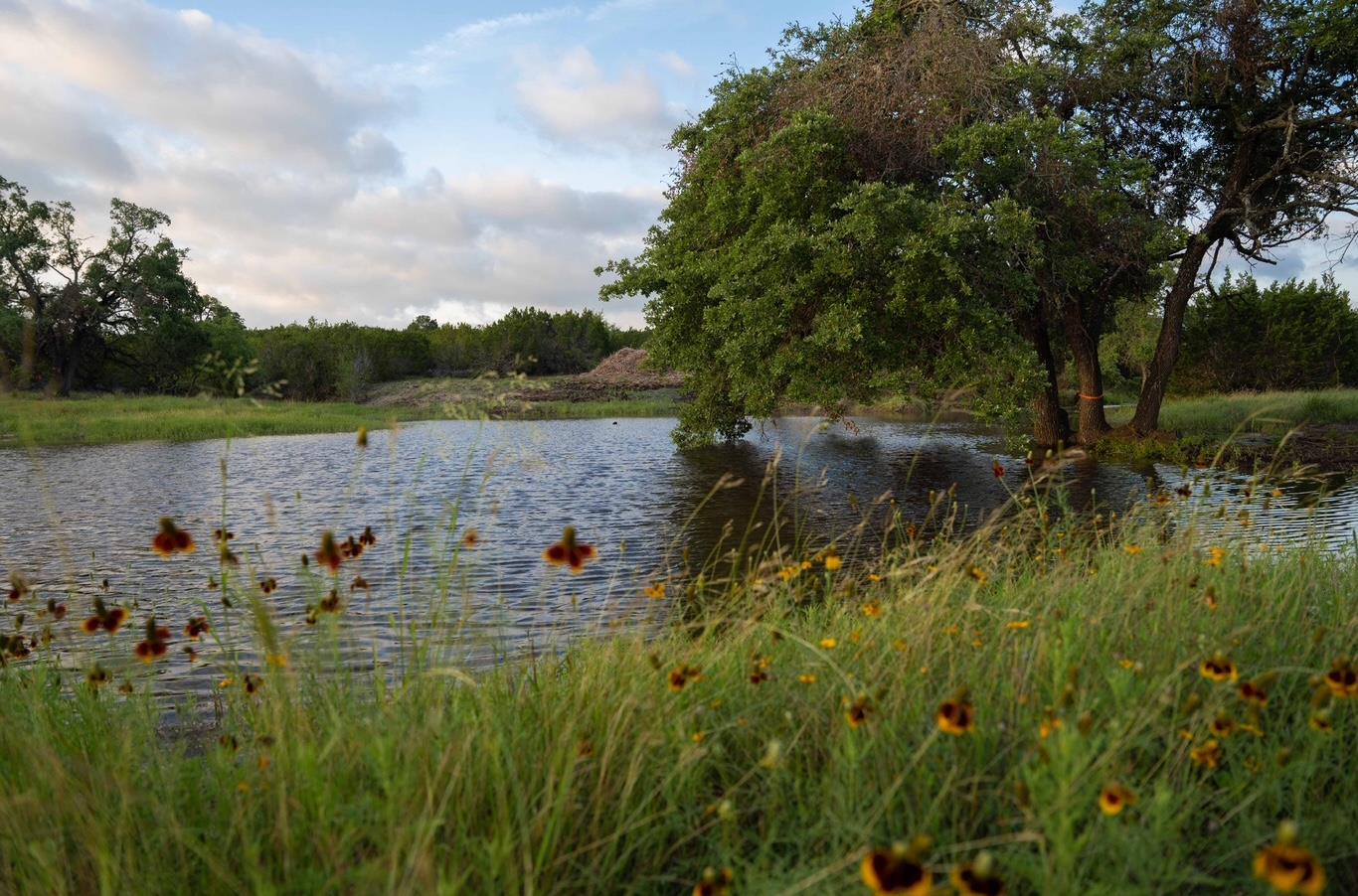 2078 W Ranch Road 962 LOT 18, Round Mountain, TX 78663