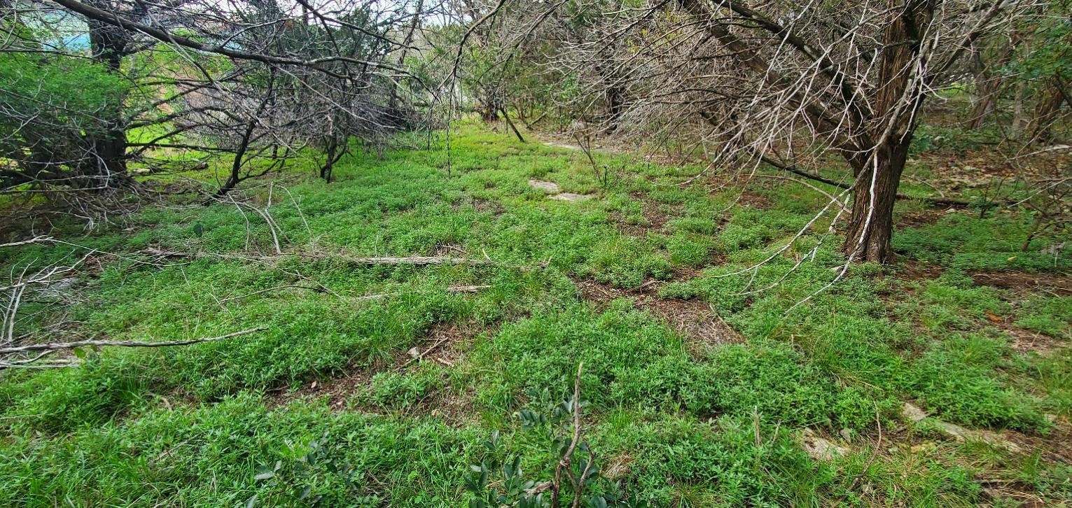 15968 & 15974 Brazos Dr, Temple, TX 76502