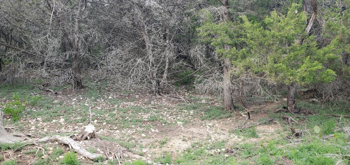 15968 & 15974 Brazos Dr, Temple, TX 76502