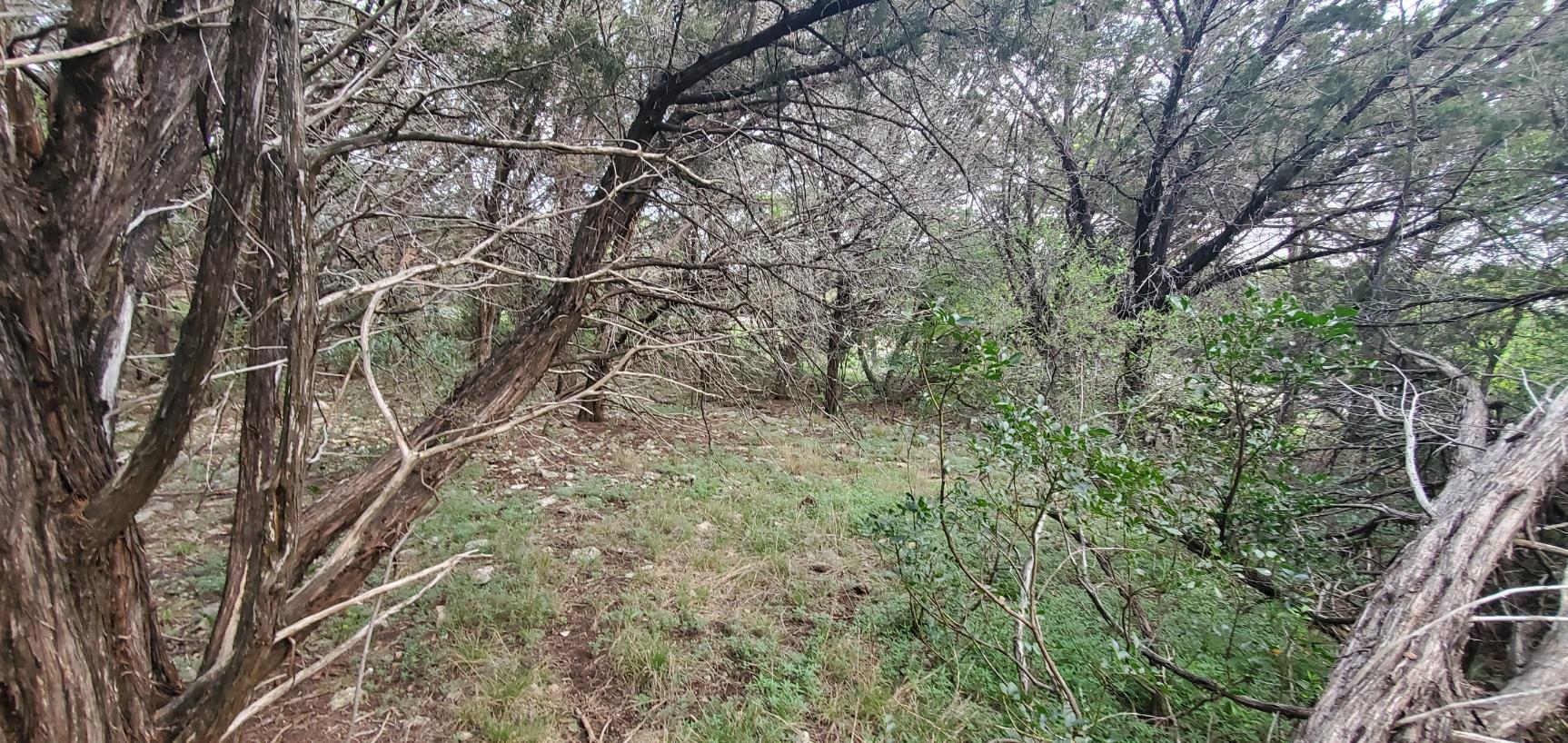 15968 & 15974 Brazos Dr, Temple, TX 76502