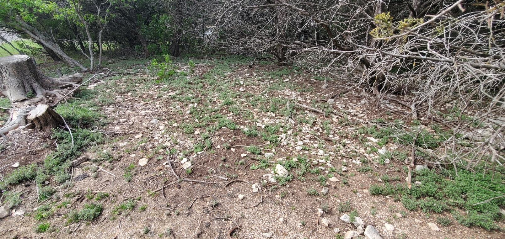 15968 & 15974 Brazos Dr, Temple, TX 76502