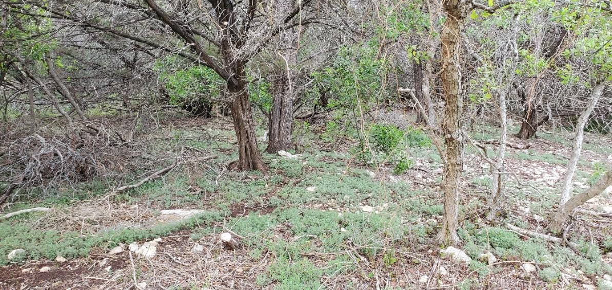 15968 & 15974 Brazos Dr, Temple, TX 76502