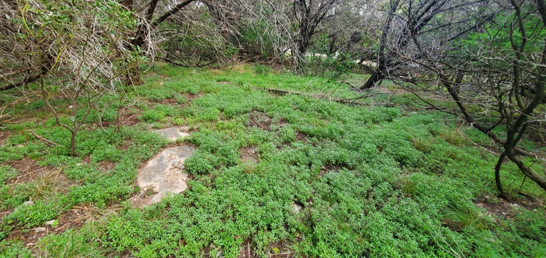 15968 & 15974 Brazos Dr, Temple, TX 76502