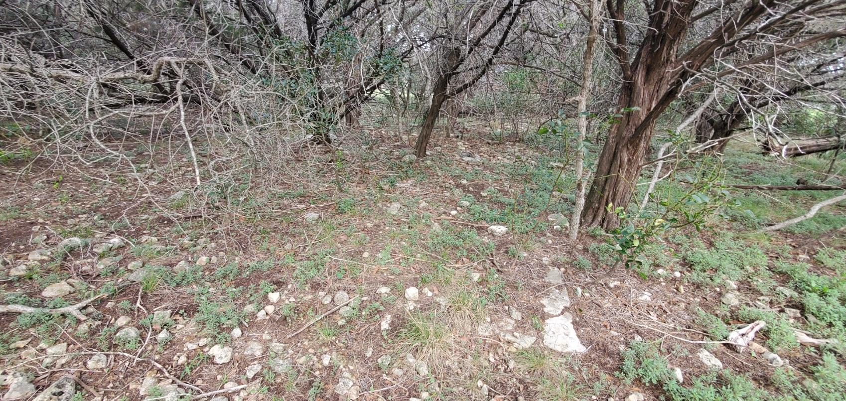 15968 & 15974 Brazos Dr, Temple, TX 76502