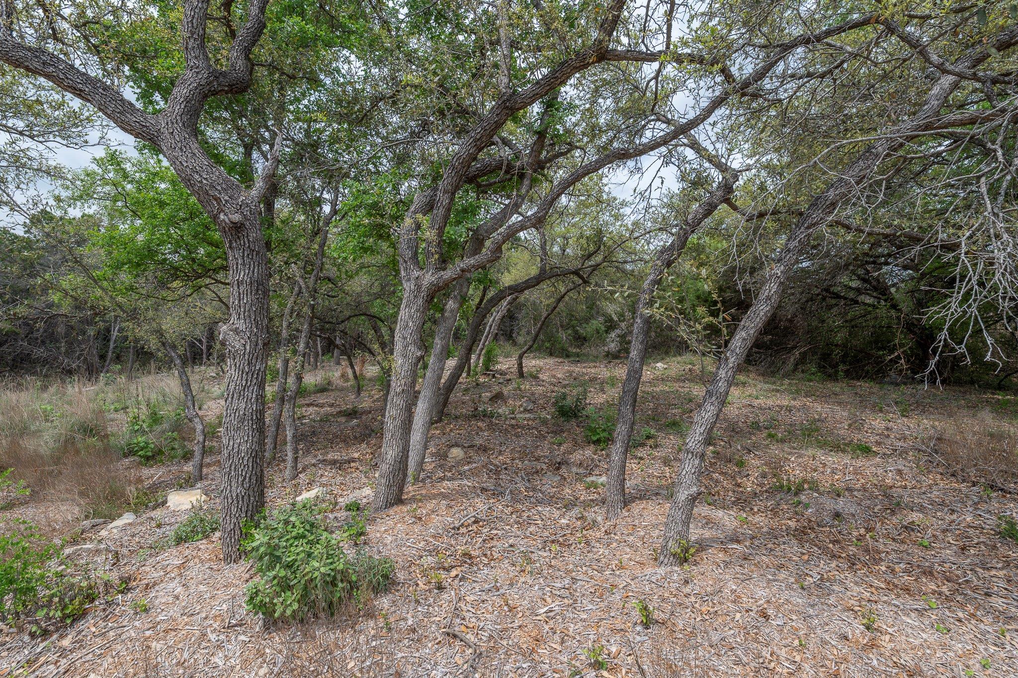 7902 Powder Cv, Lago Vista, TX 78645