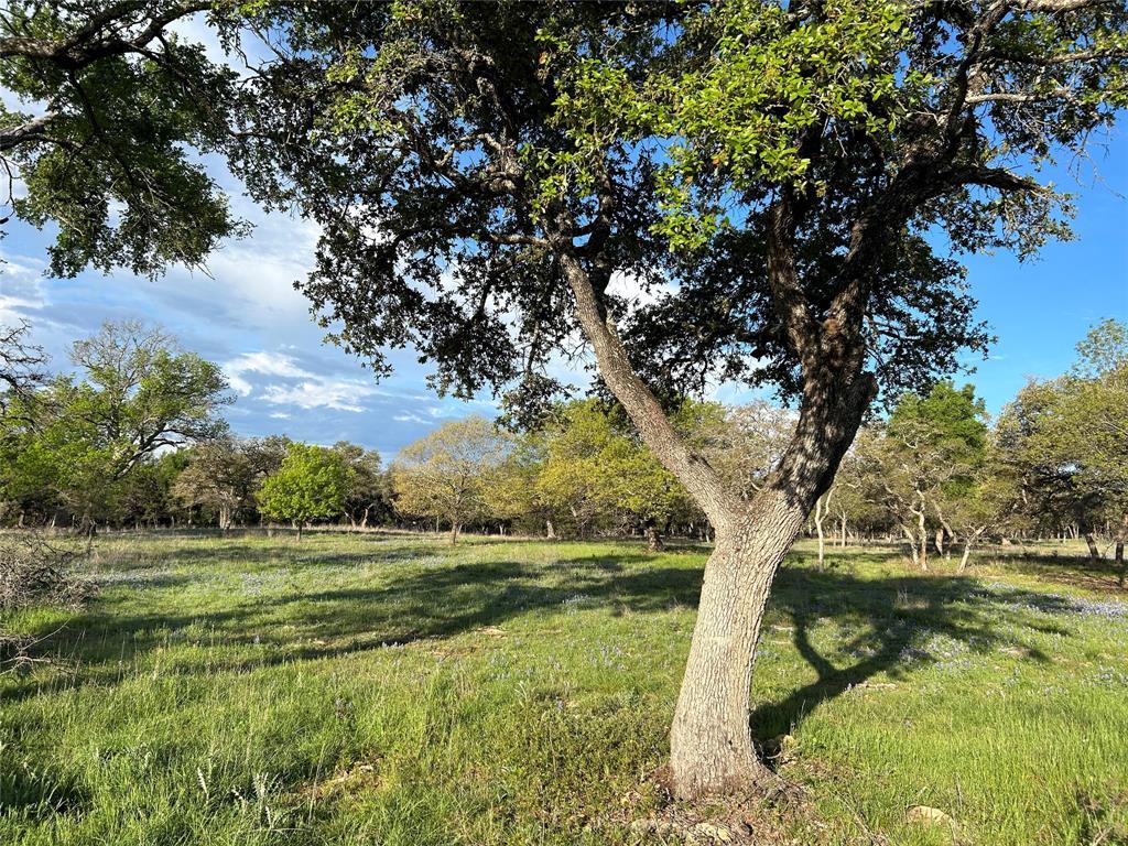 1629 FM 2843, Florence, TX 76527