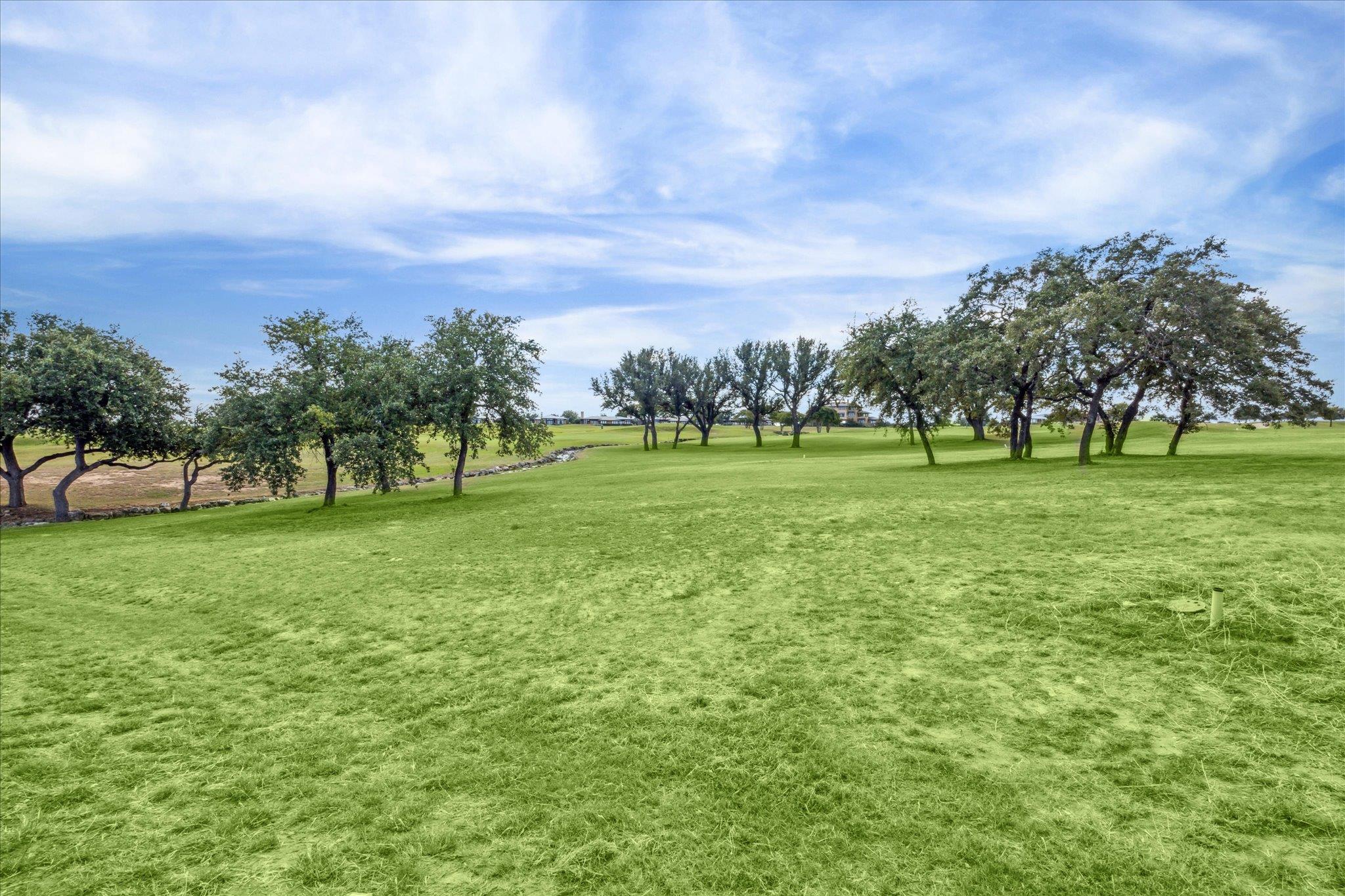 25409 Cliff Xing, Spicewood, TX 78669