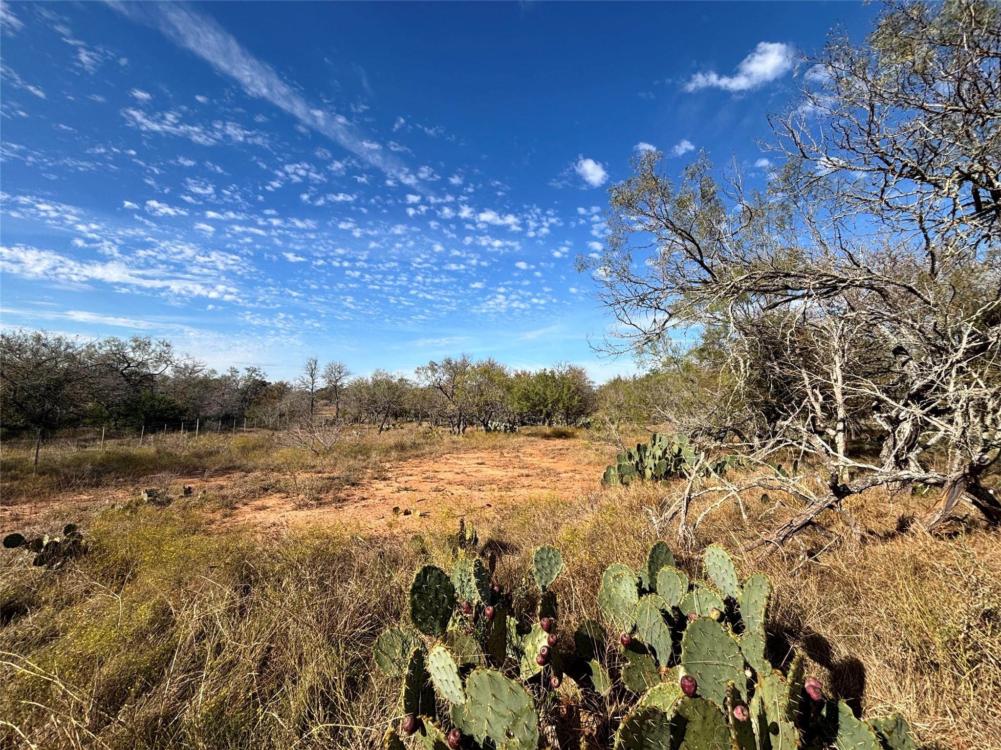 4041 good luck Rd, Seguin, TX 78155