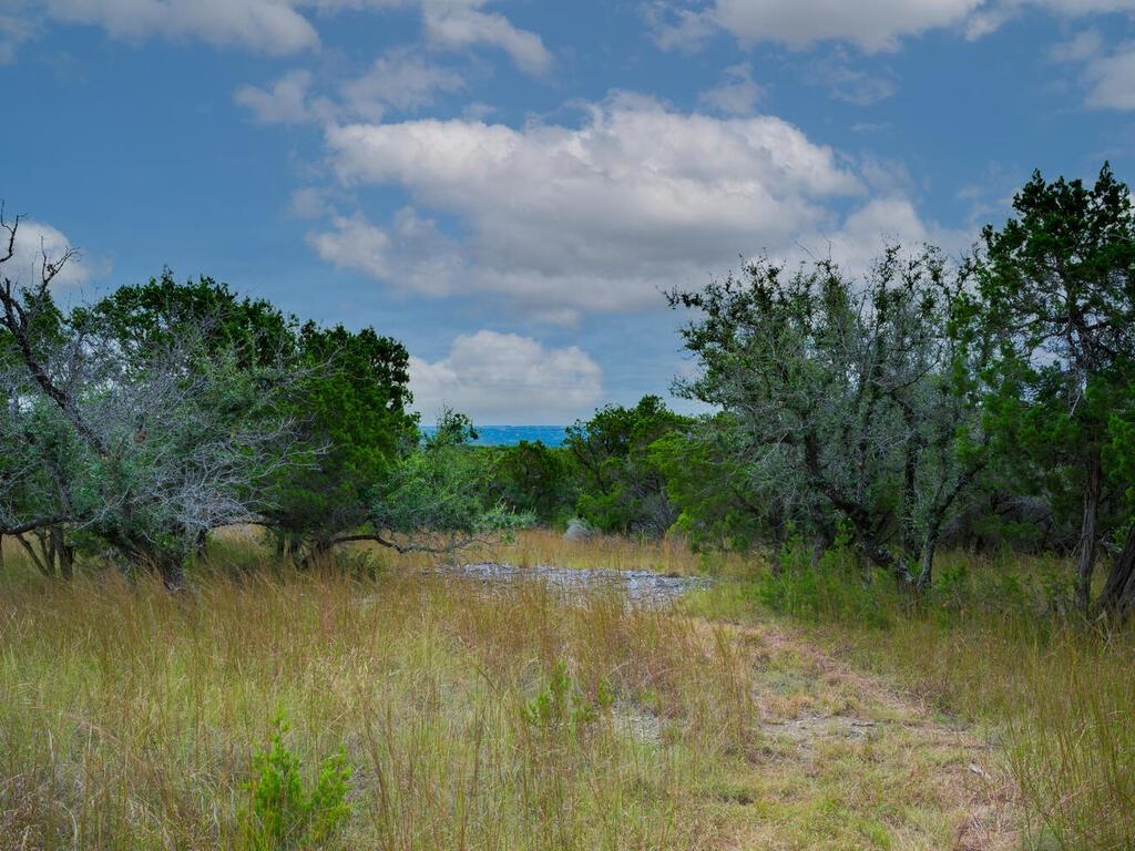 19.84 acres off RR 12 & Mirela Anne, Dripping Springs, TX 78620