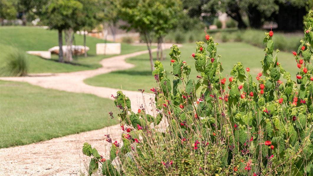 1252 Jolie Rose Bnd, Leander, TX 78641