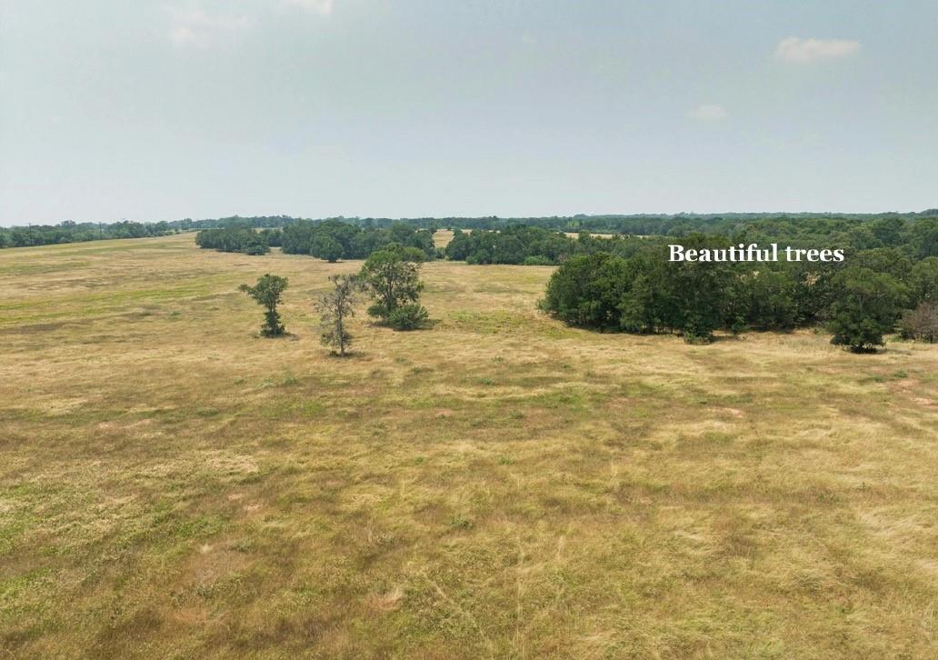 475 county Line Rd, Dale, TX 78616