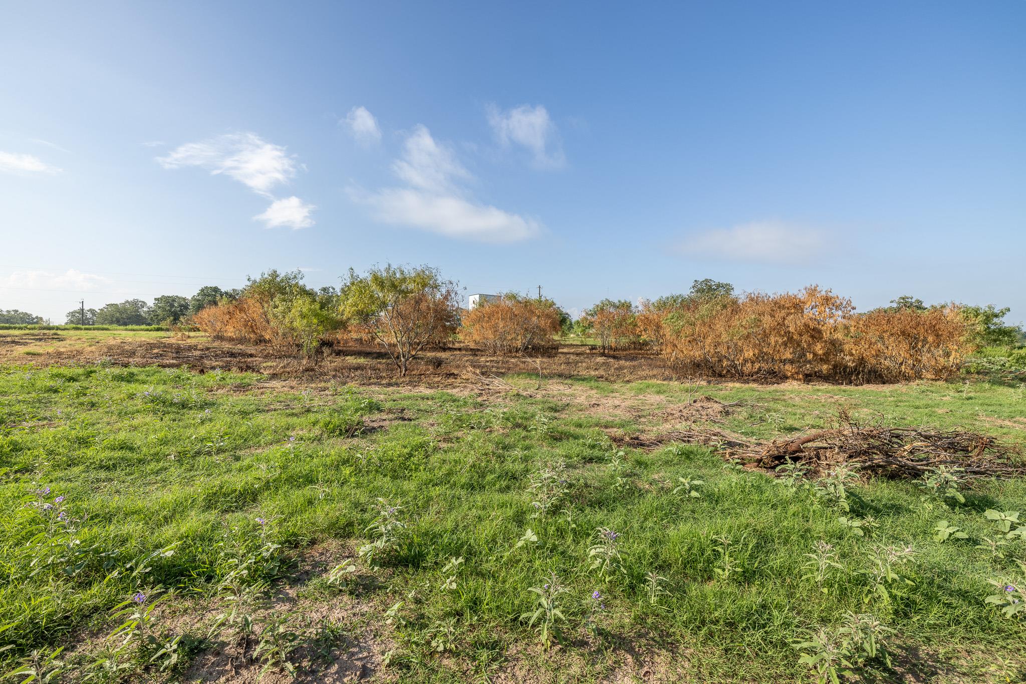 Lot 1-B County Road 491, Gonzales, TX 78629