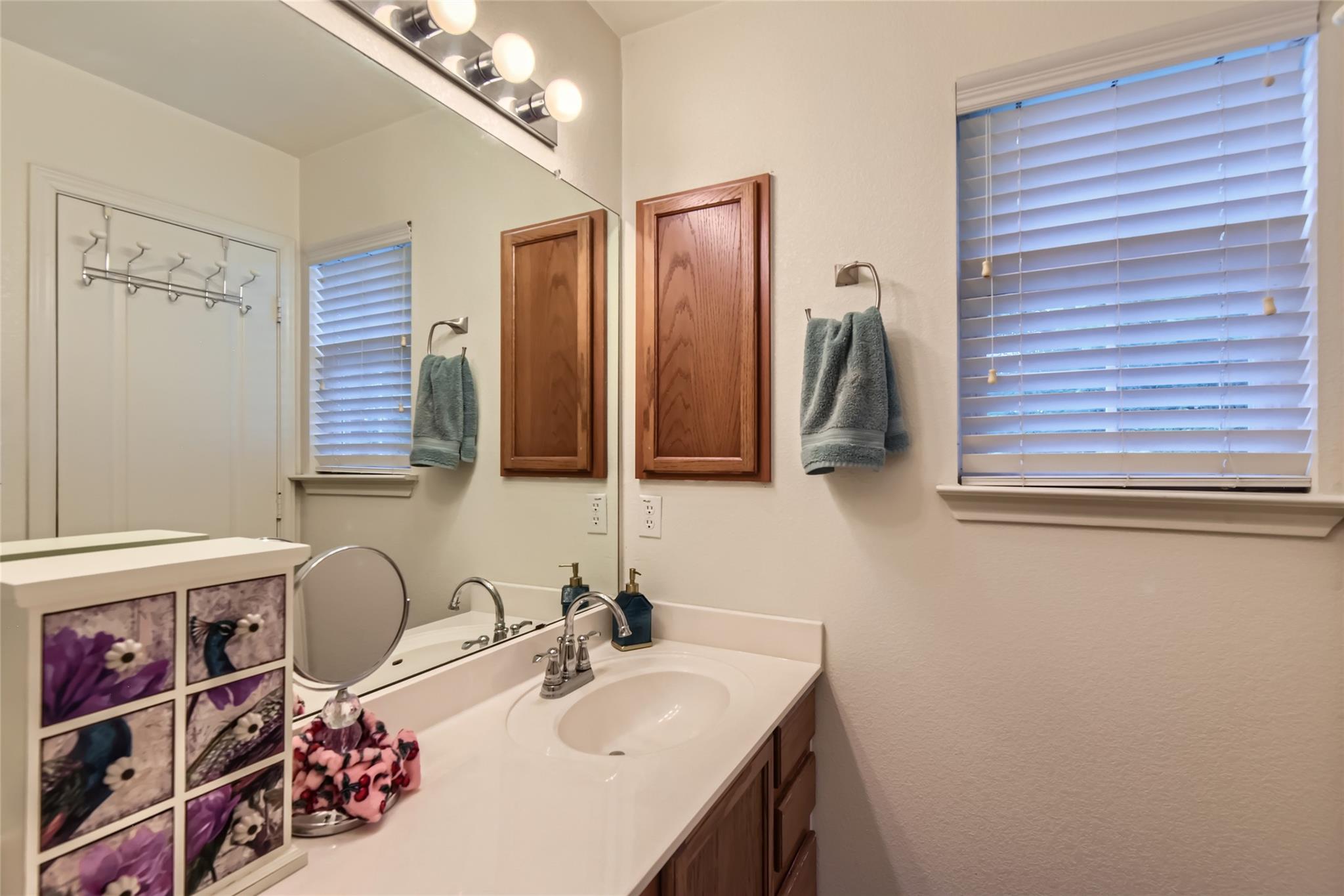 19628 San Chisolm Dr, Round Rock, TX 78664