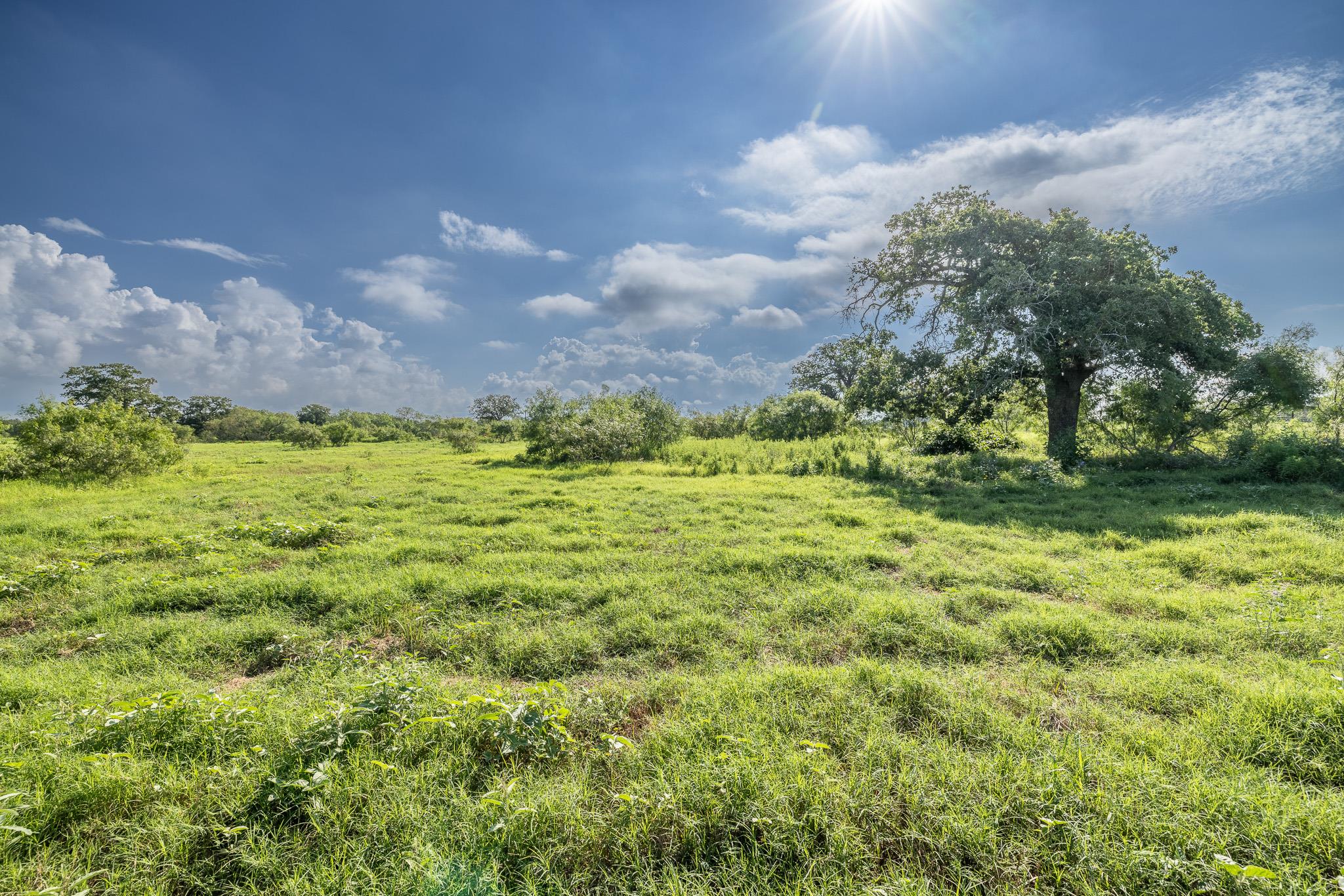 Lot 1-C County Road 491, Gonzales, TX 78629