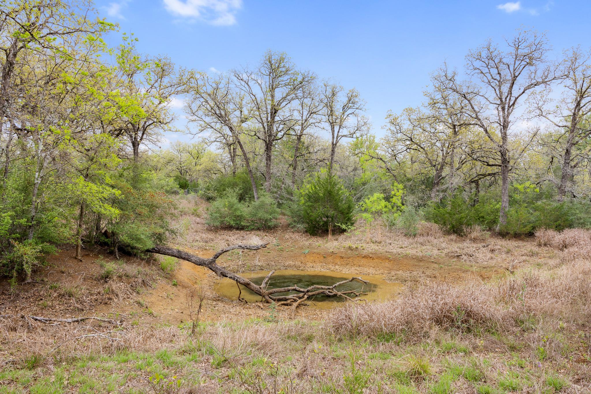 1605 Lariet Dr, Cistern, TX 78941