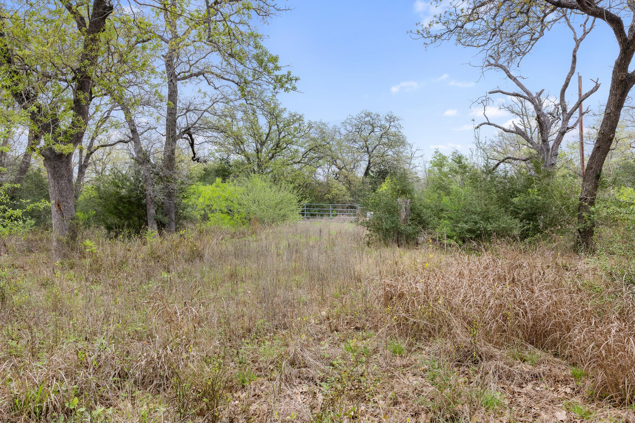 1605 Lariet Dr, Cistern, TX 78941