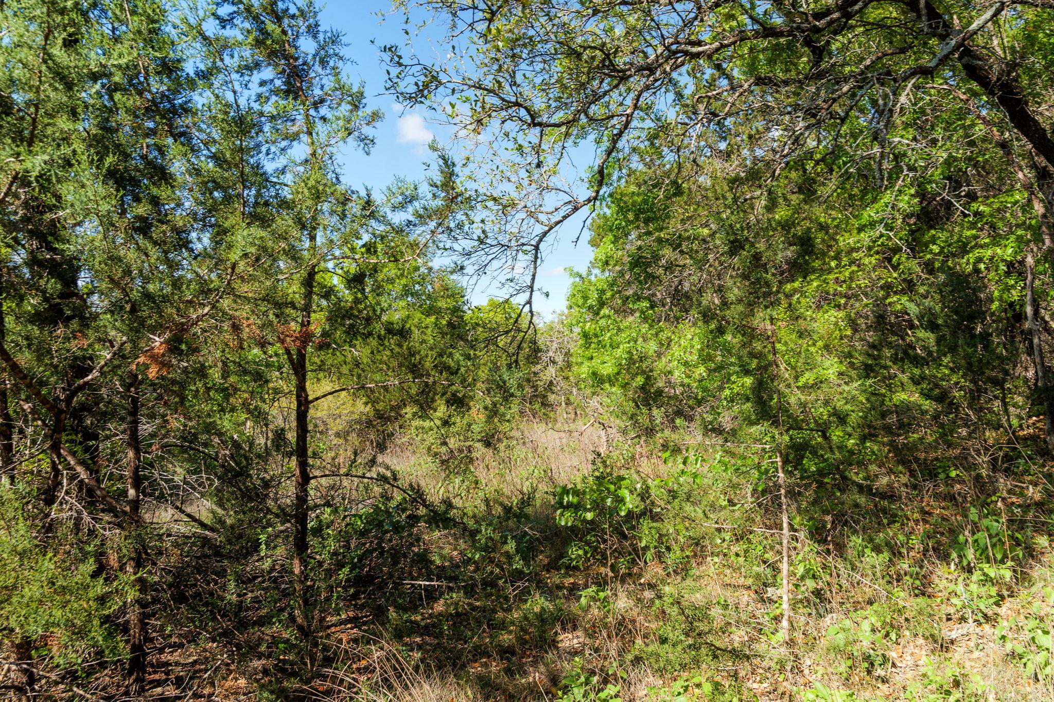 6801 FINKLEA Cv, Austin, TX 78730