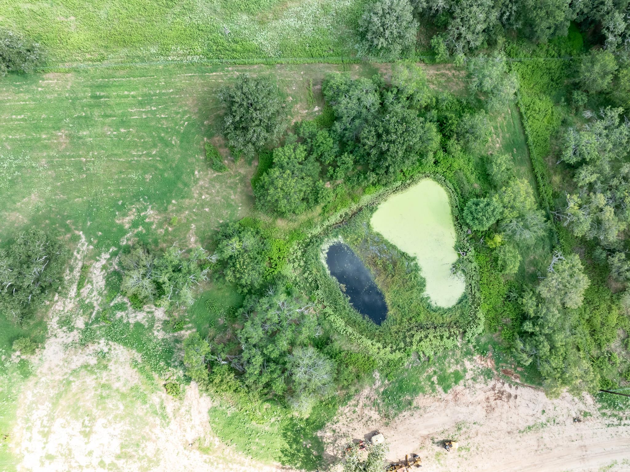 Lot 1-E County Road 491, Gonzales, TX 78629