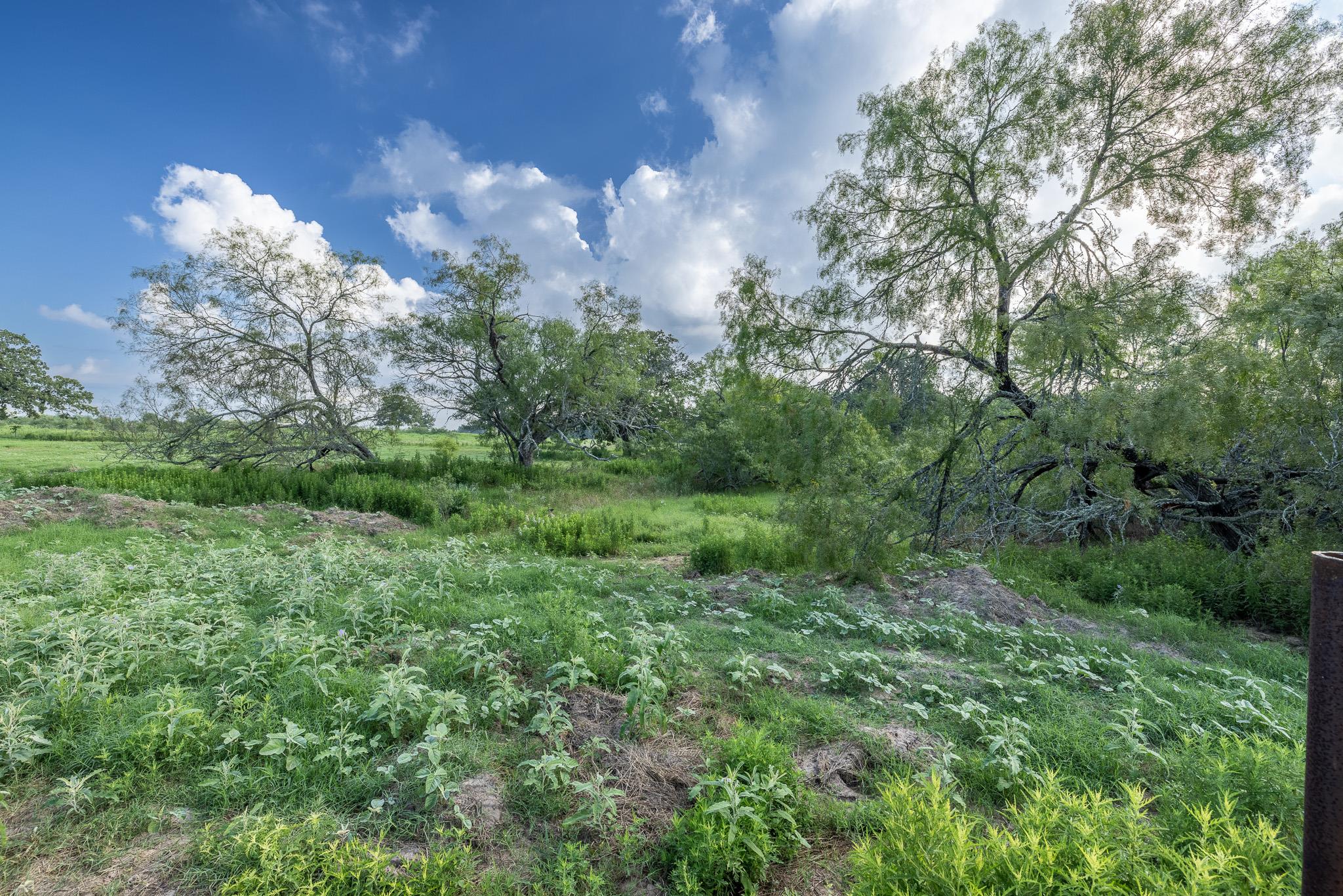 Lot 1-E County Road 491, Gonzales, TX 78629