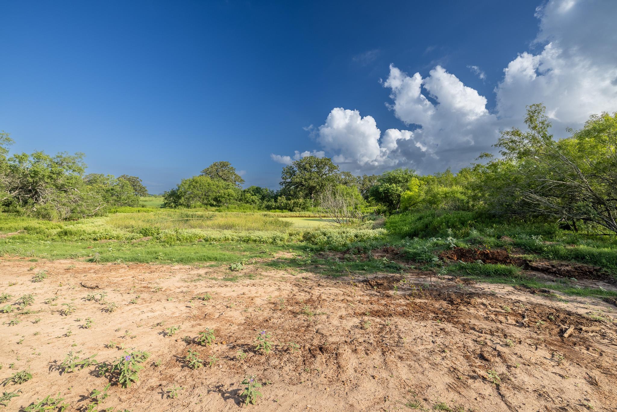 Lot 1-E County Road 491, Gonzales, TX 78629