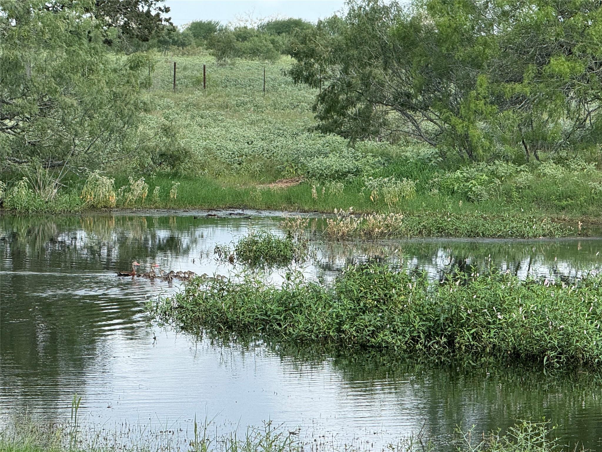 Lot 1-E County Road 491, Gonzales, TX 78629