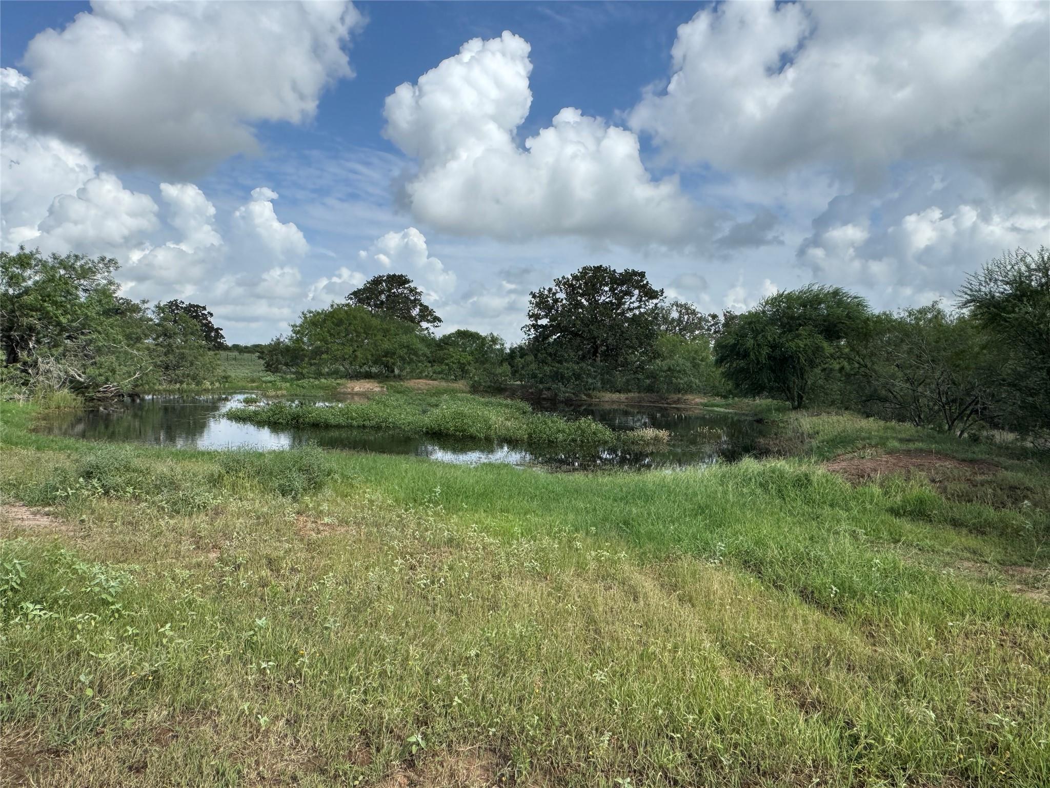 Lot 1-E County Road 491, Gonzales, TX 78629