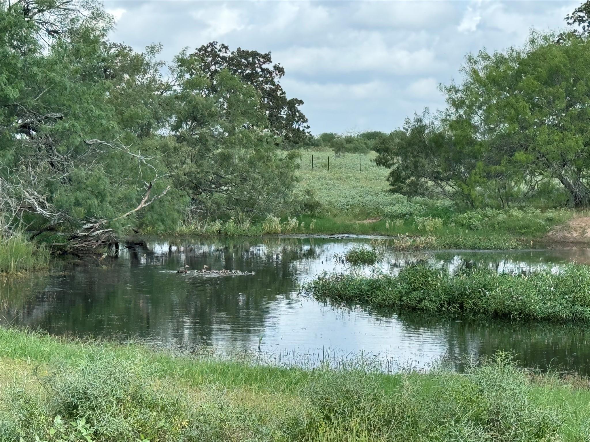 Lot 1-E County Road 491, Gonzales, TX 78629