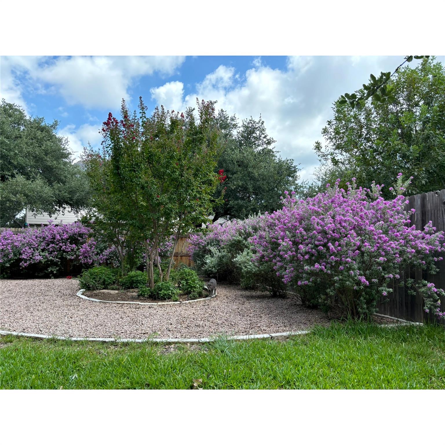 2201 Ezra Ct, Cedar Park, TX 78613