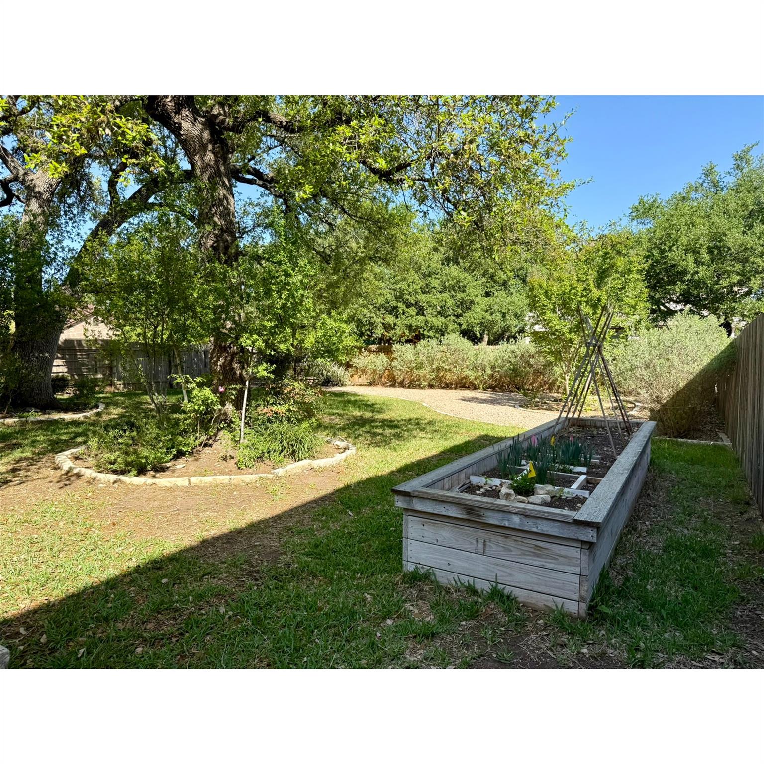2201 Ezra Ct, Cedar Park, TX 78613
