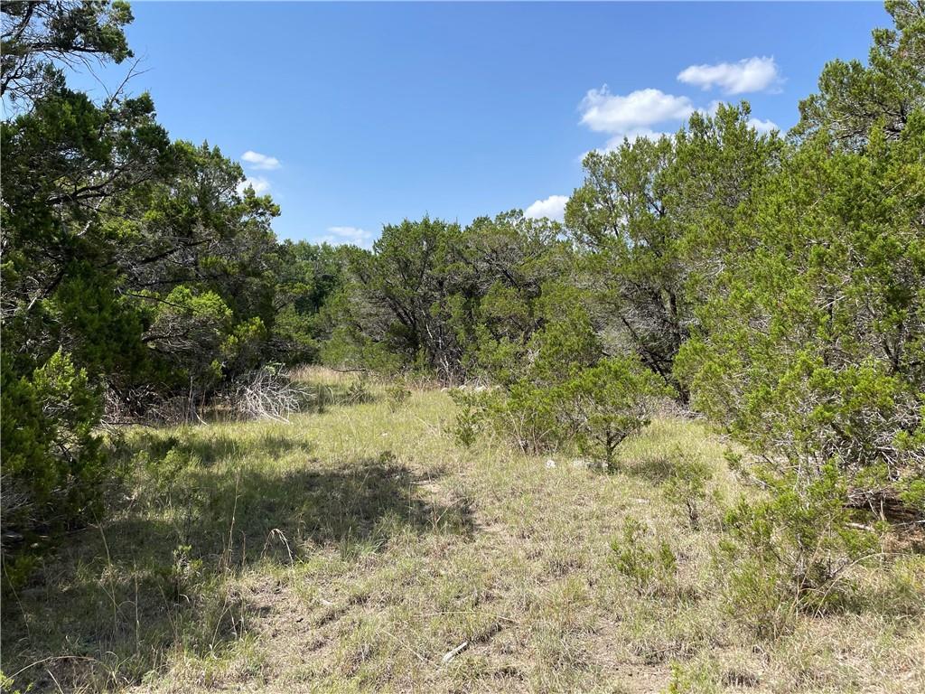 271 Ridgeline Rd, Leander, TX 78641