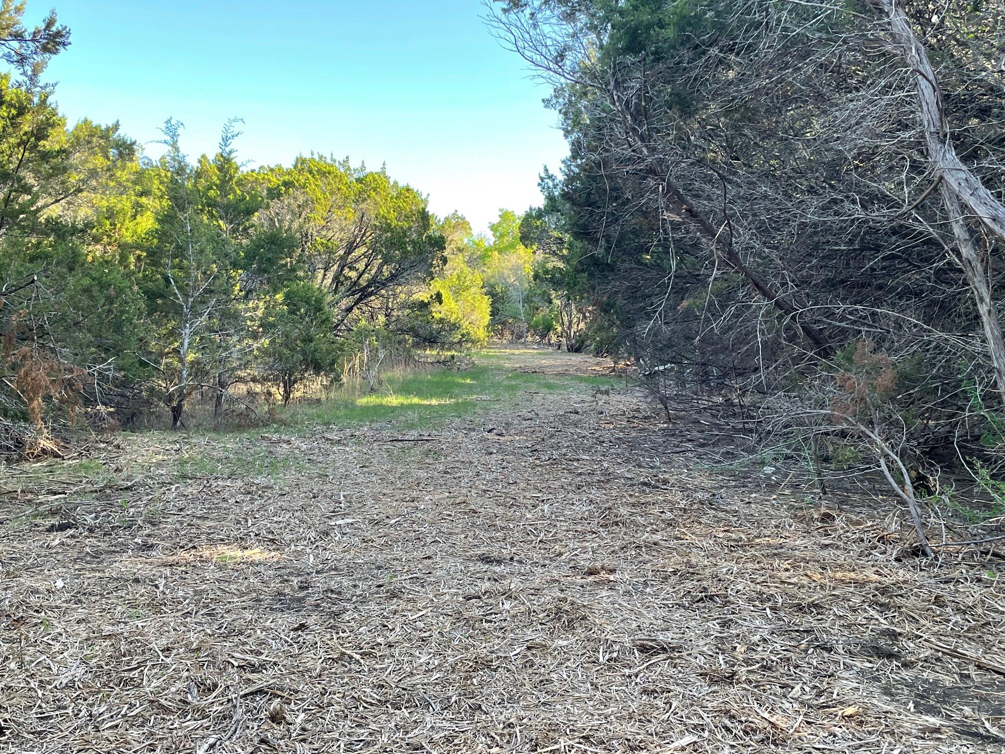 271 Ridgeline Rd, Leander, TX 78641