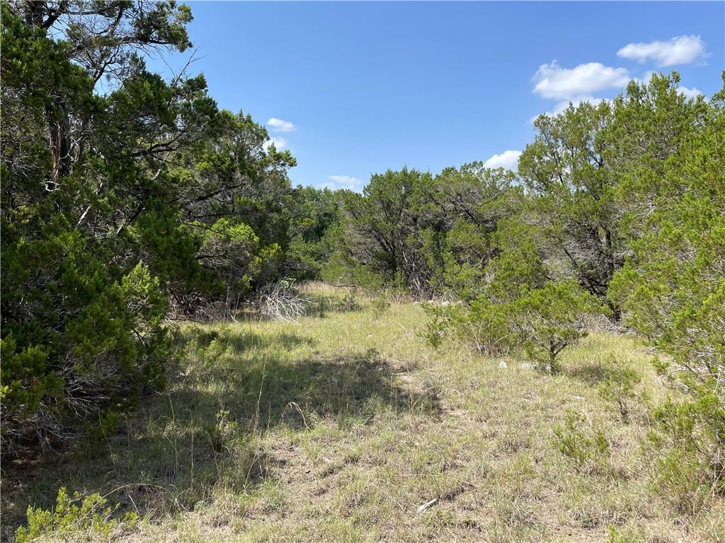 271 Ridgeline Rd, Leander, TX 78641