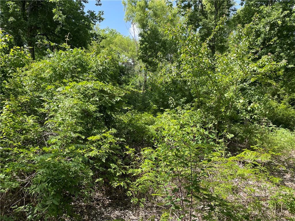 271 Ridgeline Rd, Leander, TX 78641