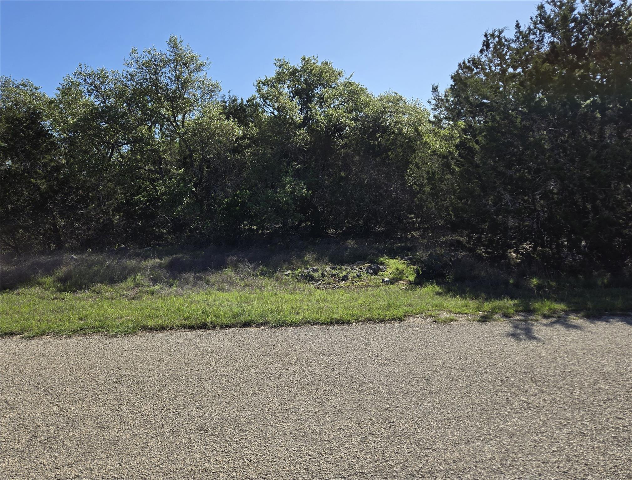 343 Falconwood Dr, San Marcos, TX 78666