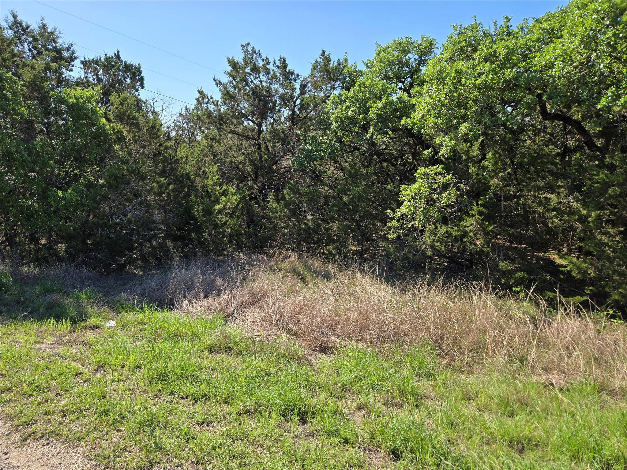 343 Falconwood Dr, San Marcos, TX 78666