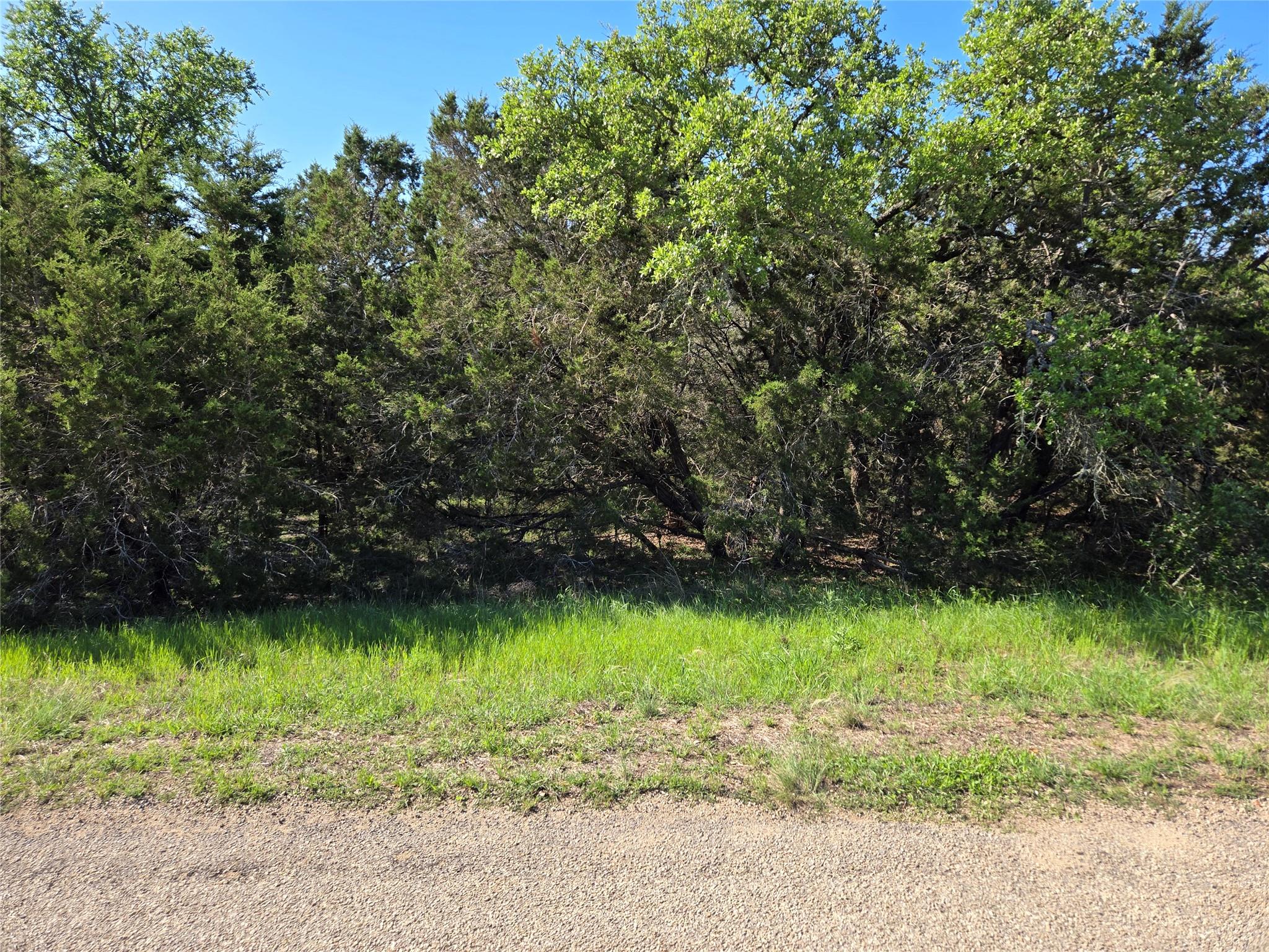 343 Falconwood Dr, San Marcos, TX 78666